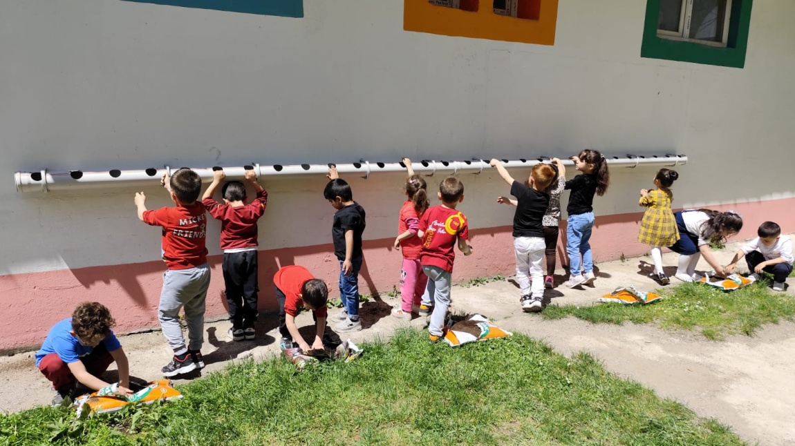 Öğrencilerimiz Borularda Çilek Yetiştiriyor